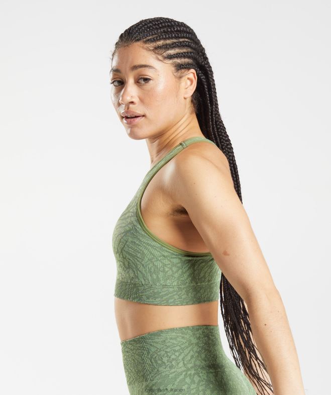 Gymshark adapter le soutien-gorge de sport sans couture animal sauvage | iguane vert femmes 6HF28203